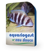 Logiciel AquarioGest Eau Douce